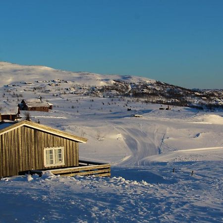 Kjoniksbu - 3 Bedroom Cabin Ål Exteriör bild