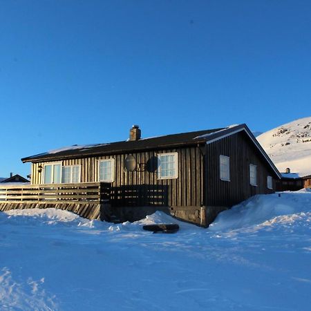 Kjoniksbu - 3 Bedroom Cabin Ål Exteriör bild