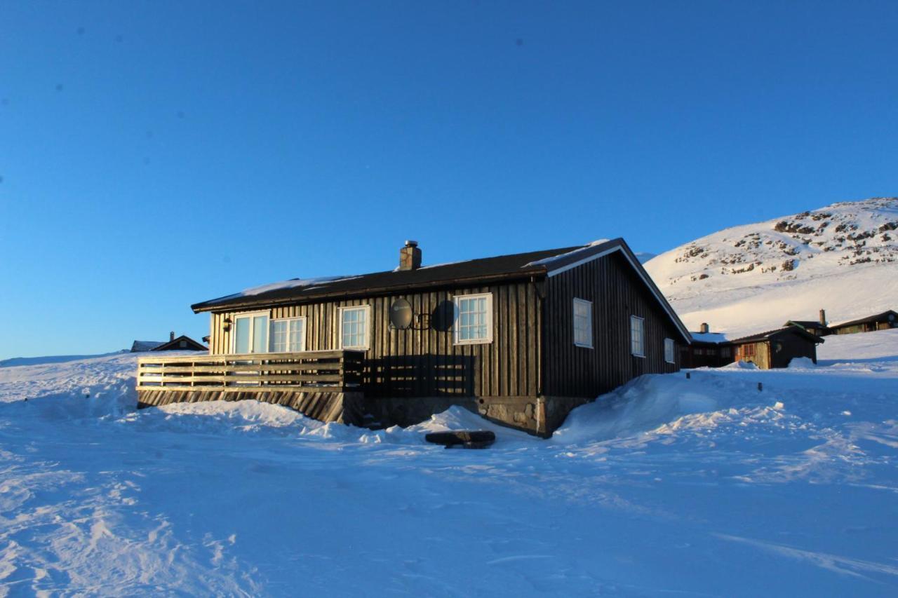 Kjoniksbu - 3 Bedroom Cabin Ål Exteriör bild