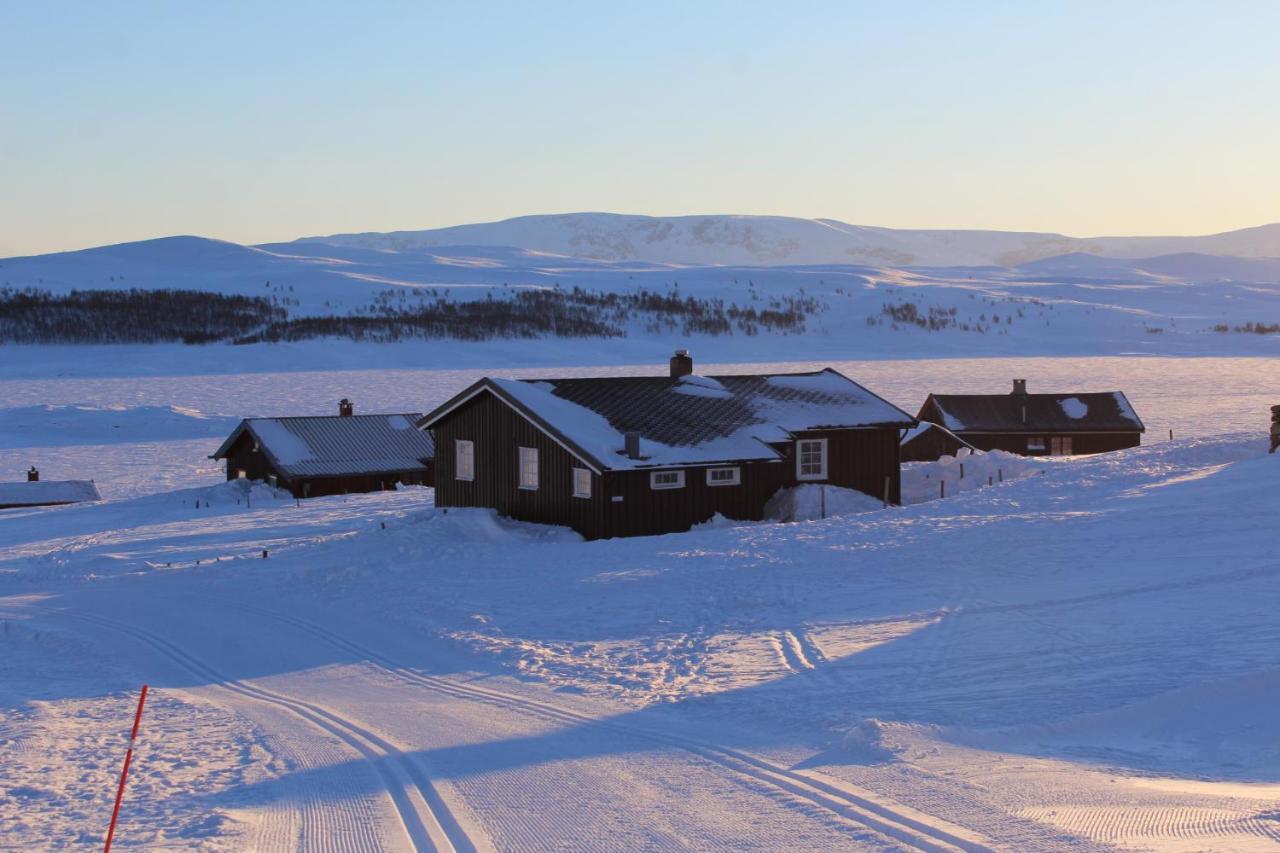 Kjoniksbu - 3 Bedroom Cabin Ål Exteriör bild